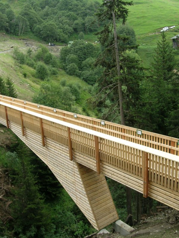 Neubau Holzbrücke Punt Val Mulin, Lumbrein │ Gesamte Planung / Statik / Bauleitung